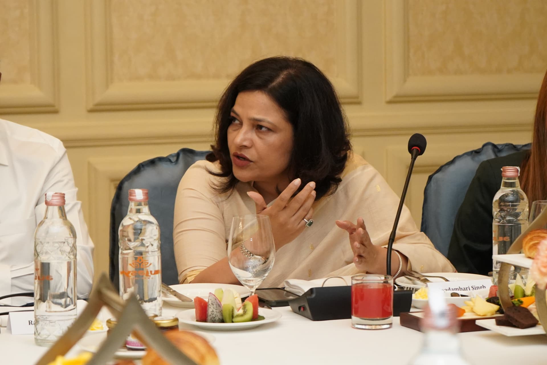 A participant making a point during the roundtable discussion